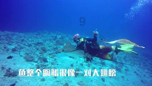 一个太爷爷的堂哥去世不去可以吗？游戏画面